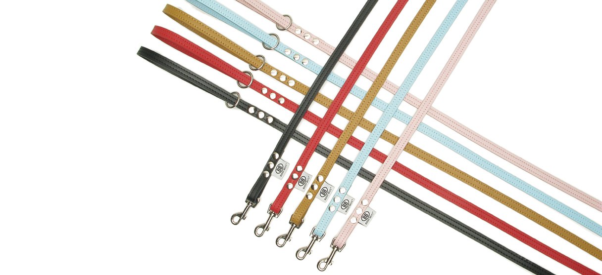 dog leashes in various colors for small dogs and teacup puppies