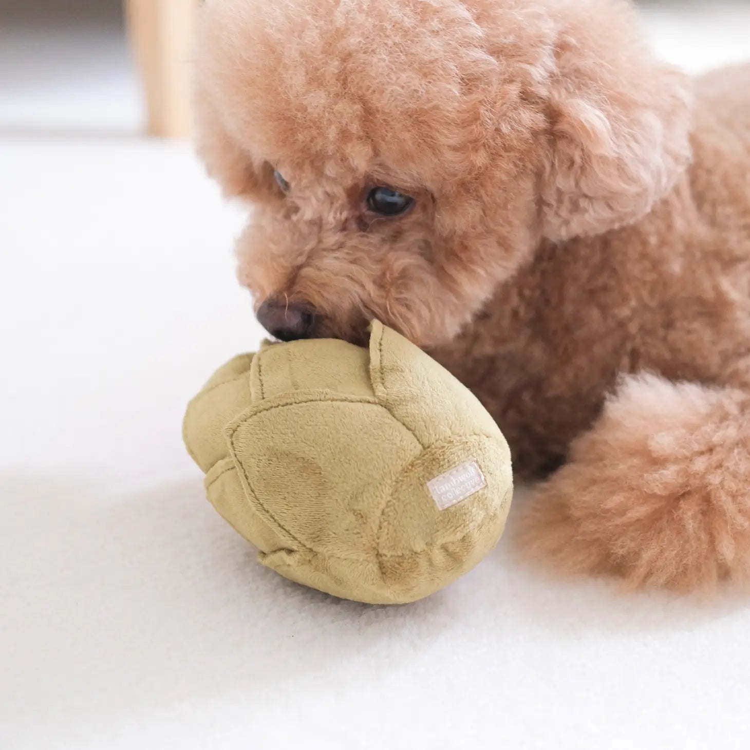 Artichoke Enrichment Dog Toy