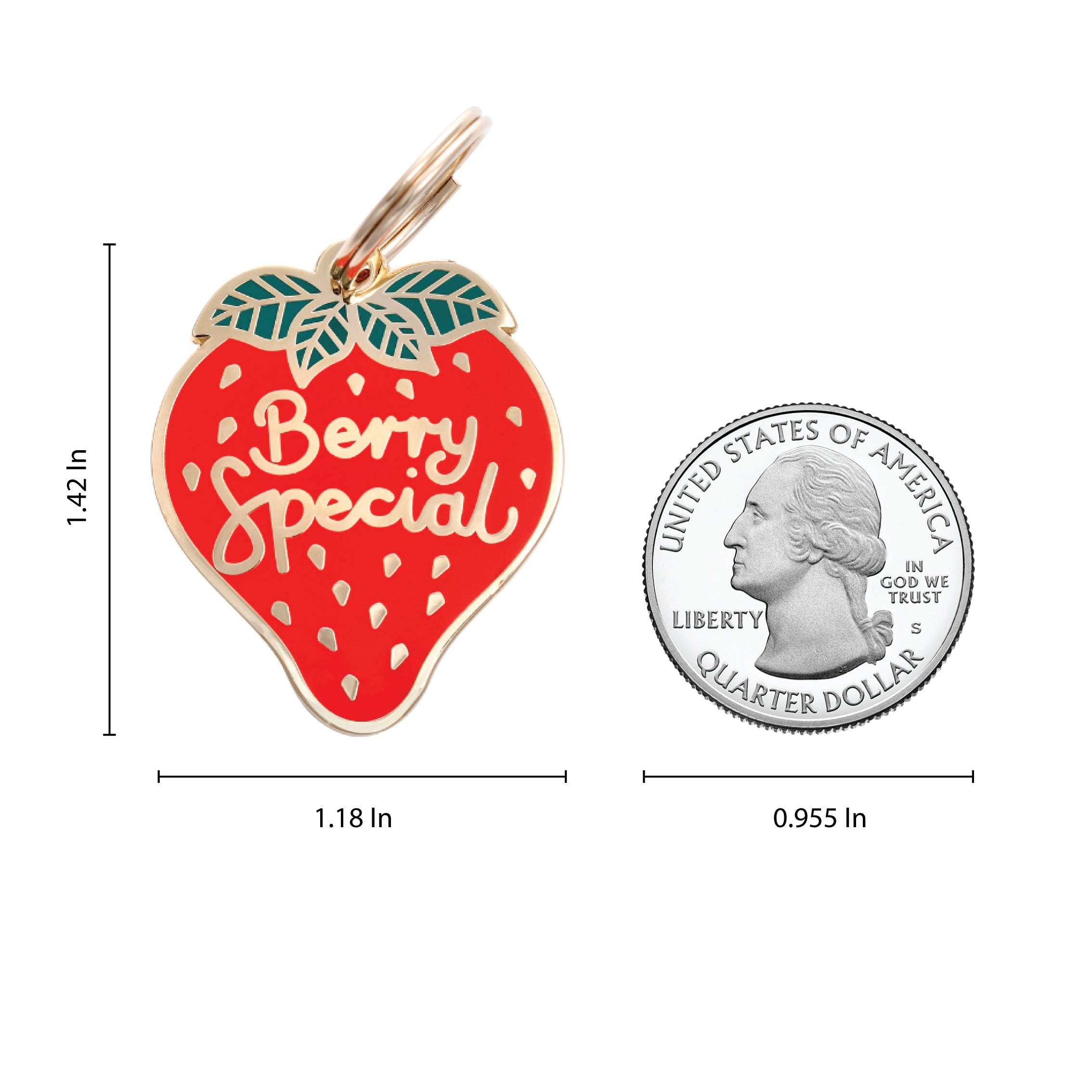 Dog ID Tag - Berry Special Pet ID Tag - Sizing