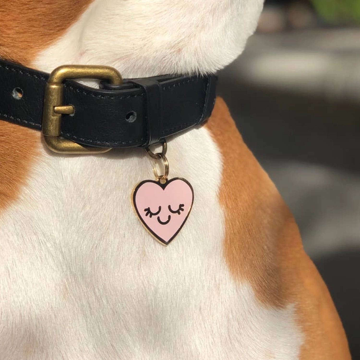Dog wearing Smiling Heart Pet ID Tag