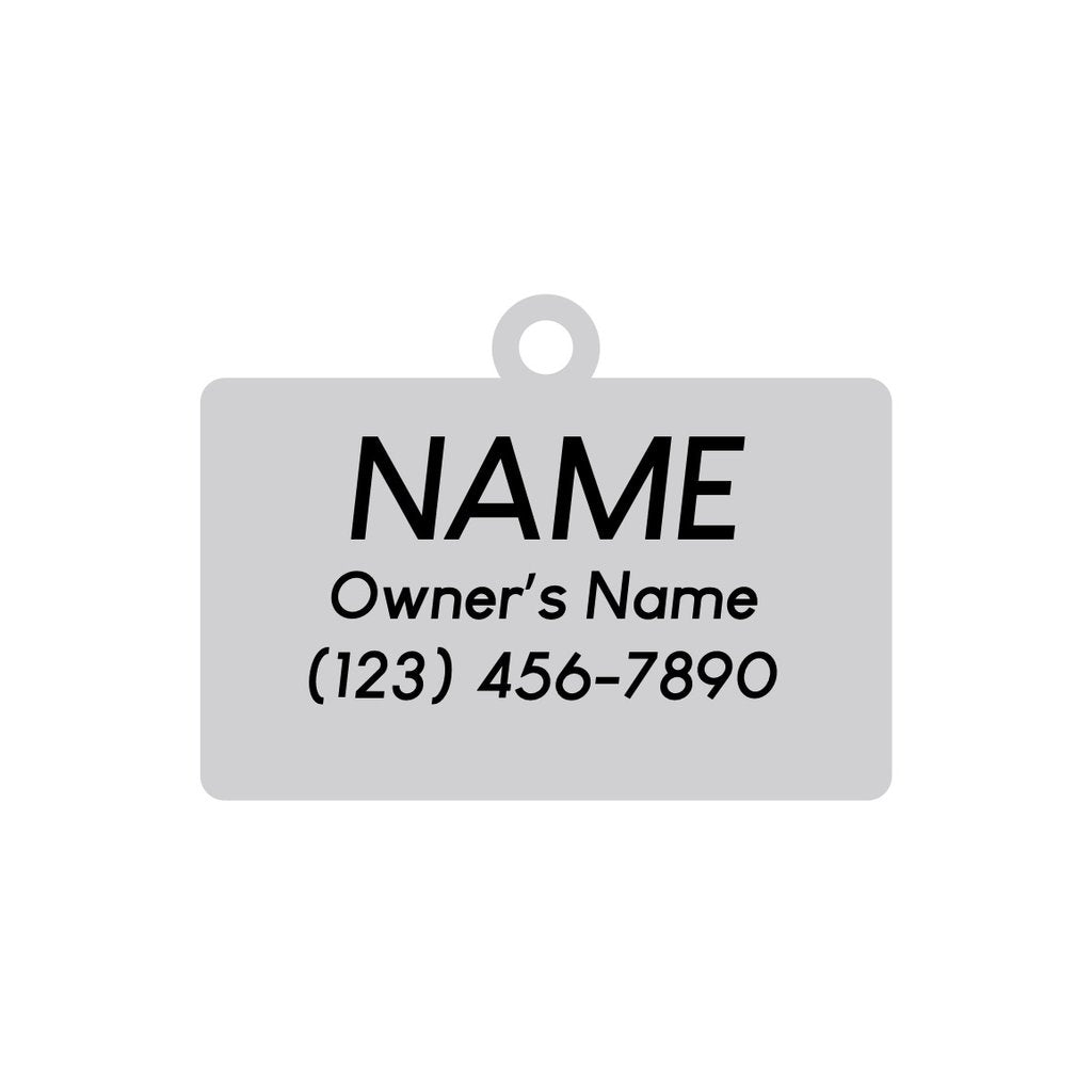 Dog ID Tag - Silver Hello My Name Is Pet ID Tag - Sample Engraving