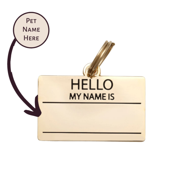 Dog ID Tag - Gold Hello My Name Is Pet ID Tag
