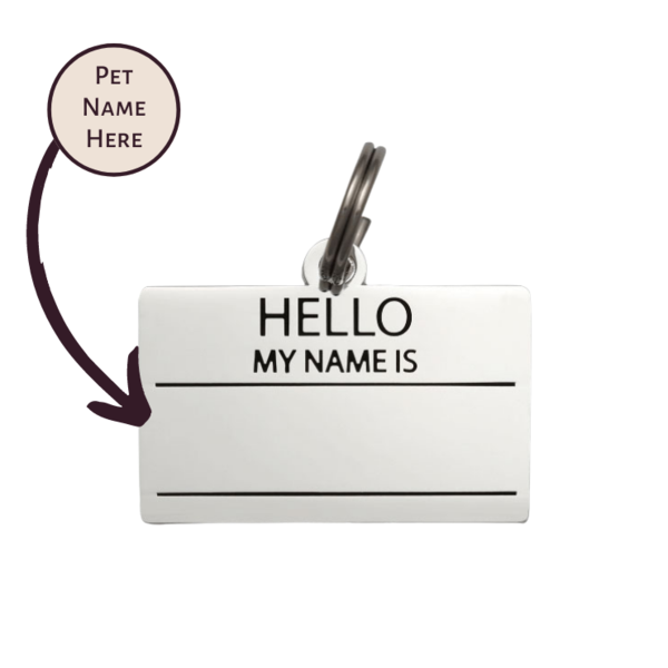 Dog ID Tag - Silver Hello My Name Is Pet ID Tag