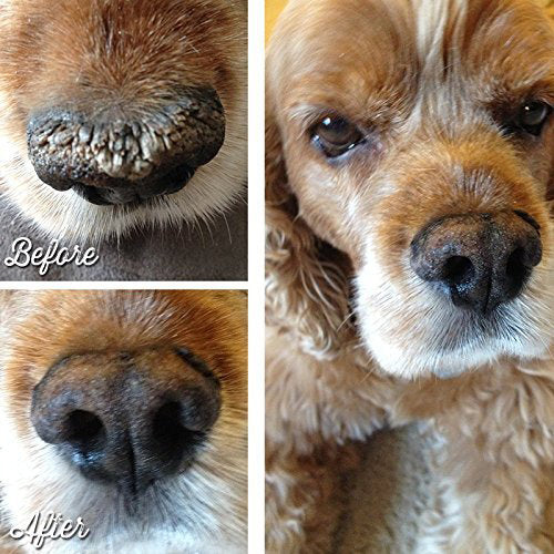 Pet Boutique - Dog Grooming - Organic Snout Soother by Natural Dog Company