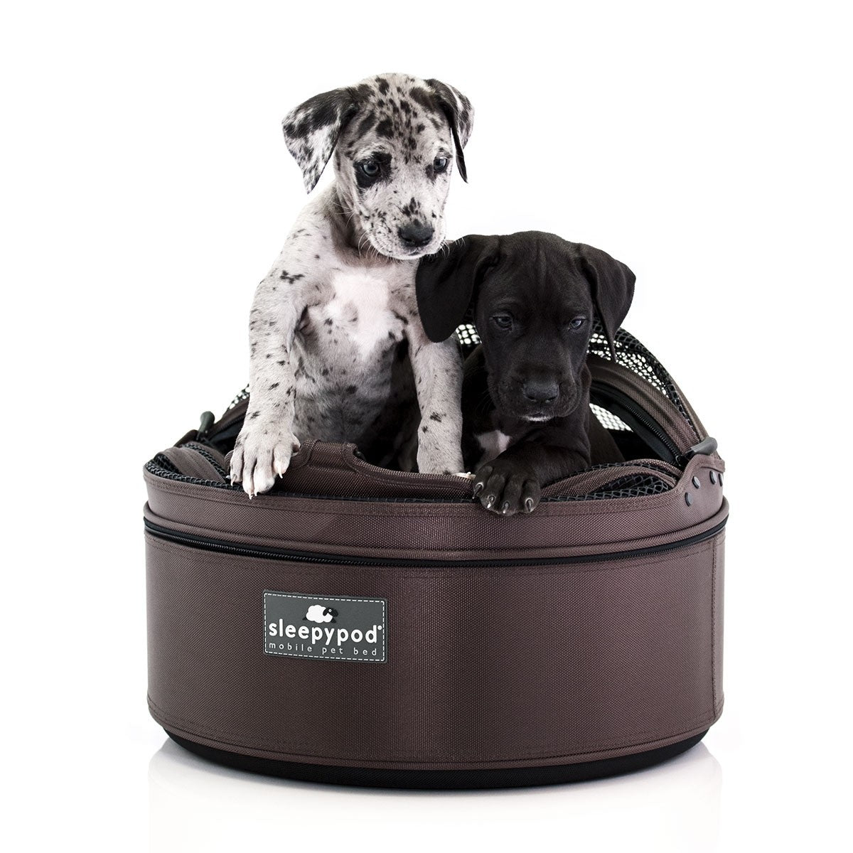 Pet Carrier - Chocolate Brown SleepyPod Dog Carrier
