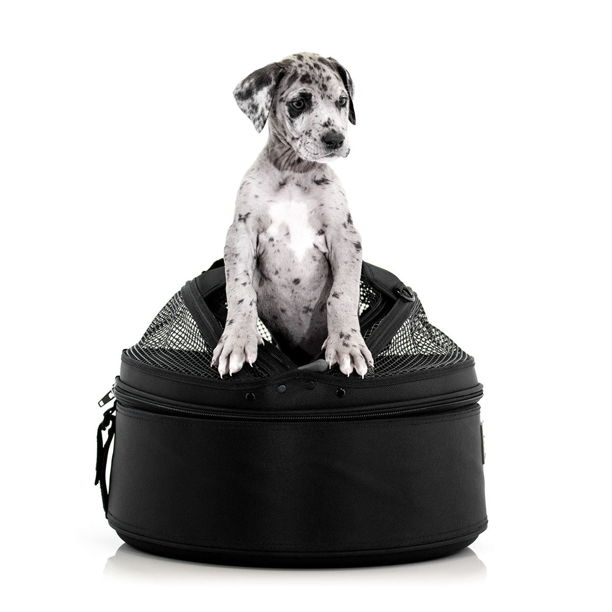 Pet Carrier - Black SleepyPod Dog Carrier