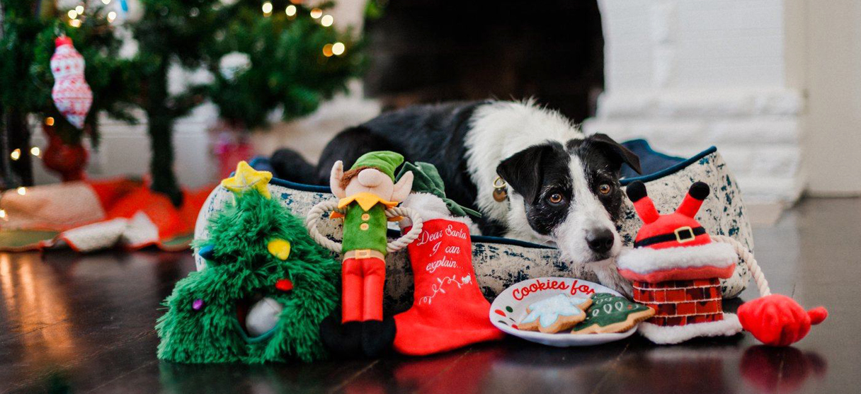 christmas dog clothes holiday dog clothing and hannukah dog toys
