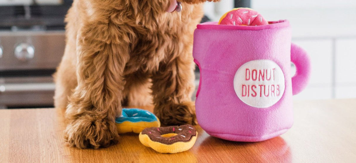 Ramen Noodles Dog Toy  Shop Plush Dog Toys – TeaCups, Puppies & Boutique