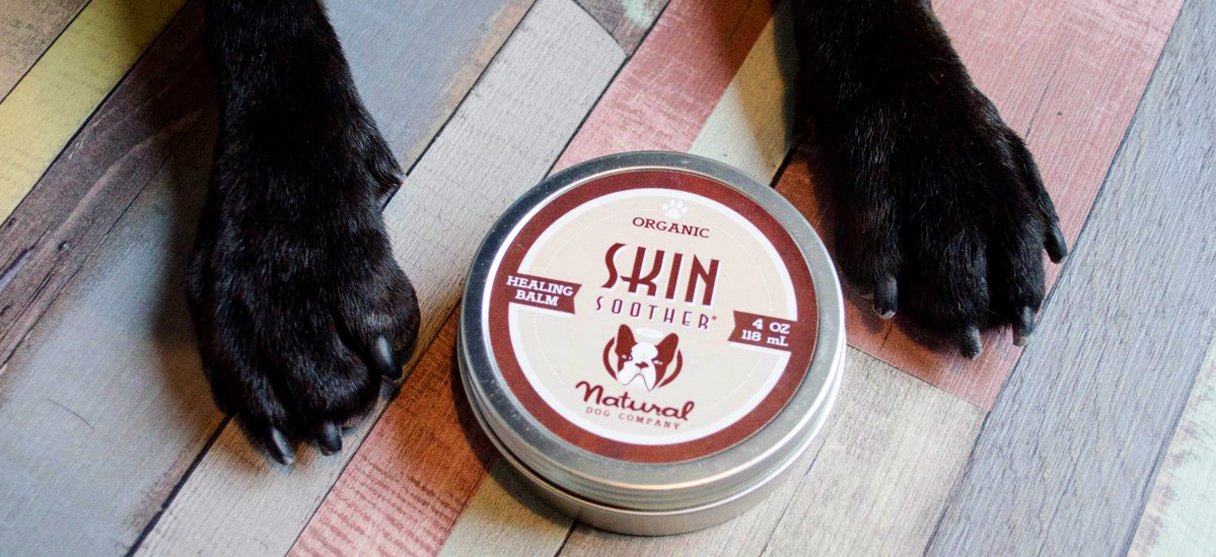 organic skin and coat care for dogs and puppies