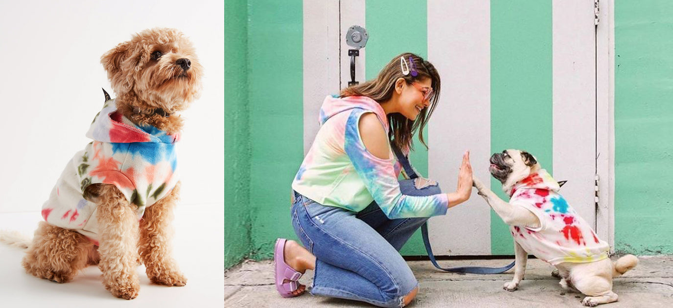 Designer Inspired Clothing  Dog design, Dog clothes, Cute animals