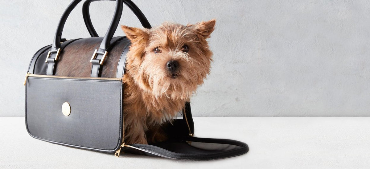 Vanderpump Pets Black Classic Quilted Luxury Pet Carrier