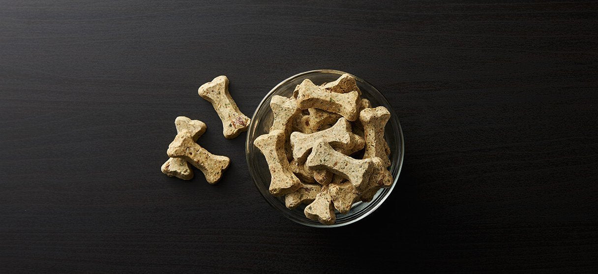 Dog treats for teacup puppies and small dogs