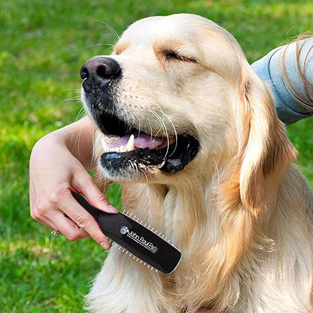 John Paul Painless Grooming Brush For Dog