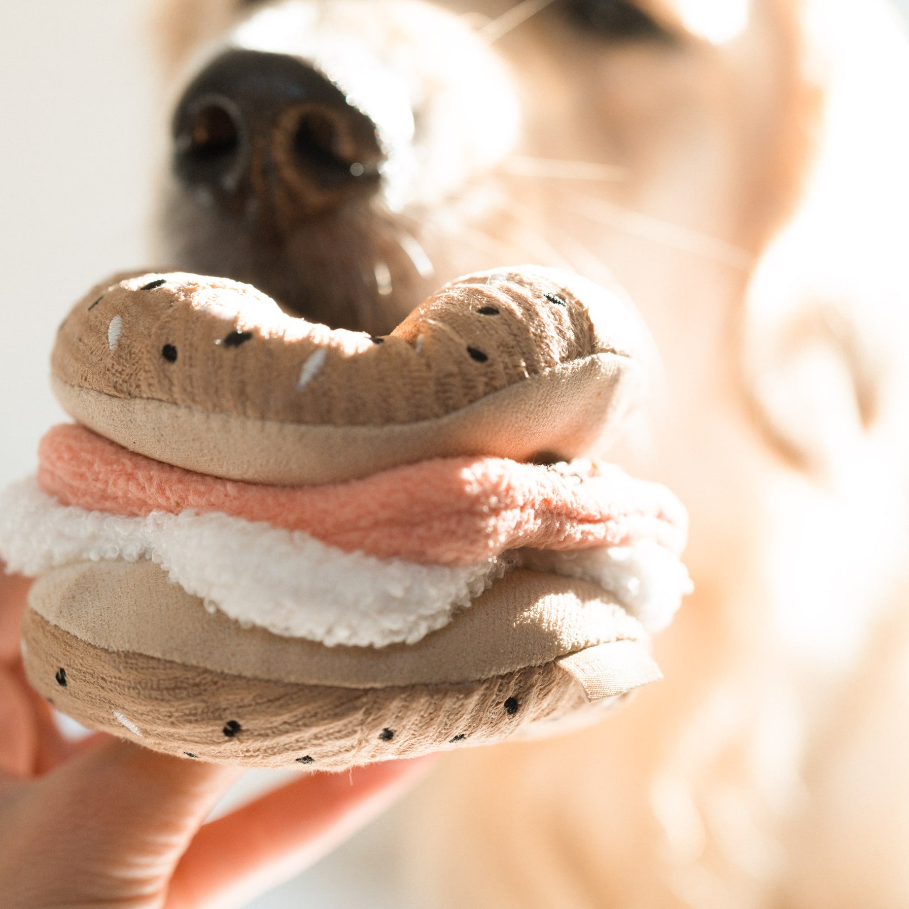 Enrichment Pickle and Bagel Dog Toy