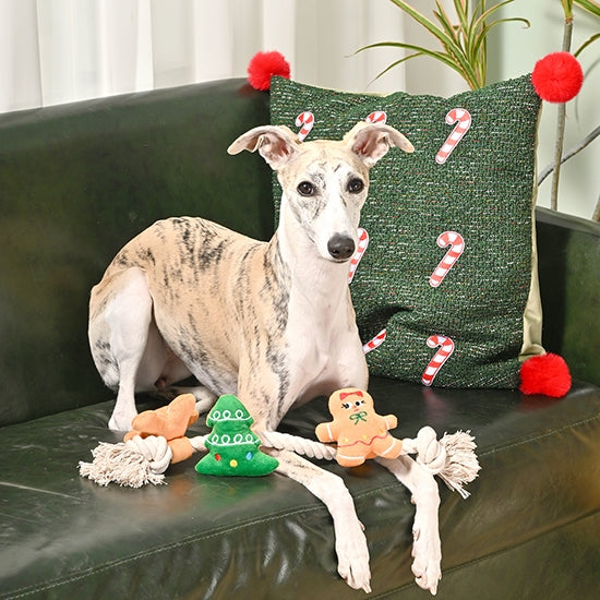 Holiday Gingerbread Man Dog Toy