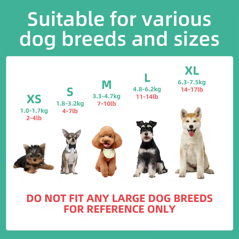 Flower Embroidered Dog Jean Jacket