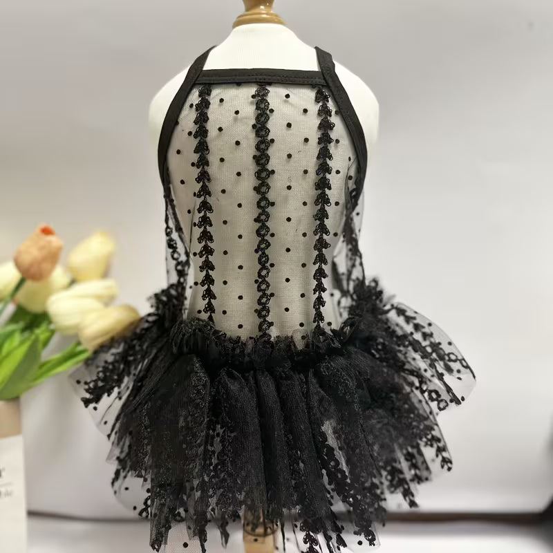 Sheer Black Dog Dress
