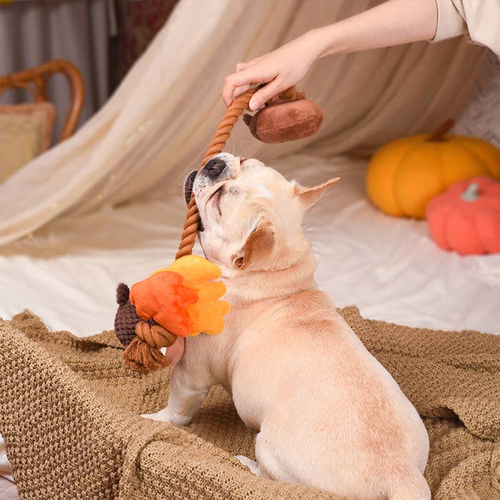 Autumn Acorn Dog Toy