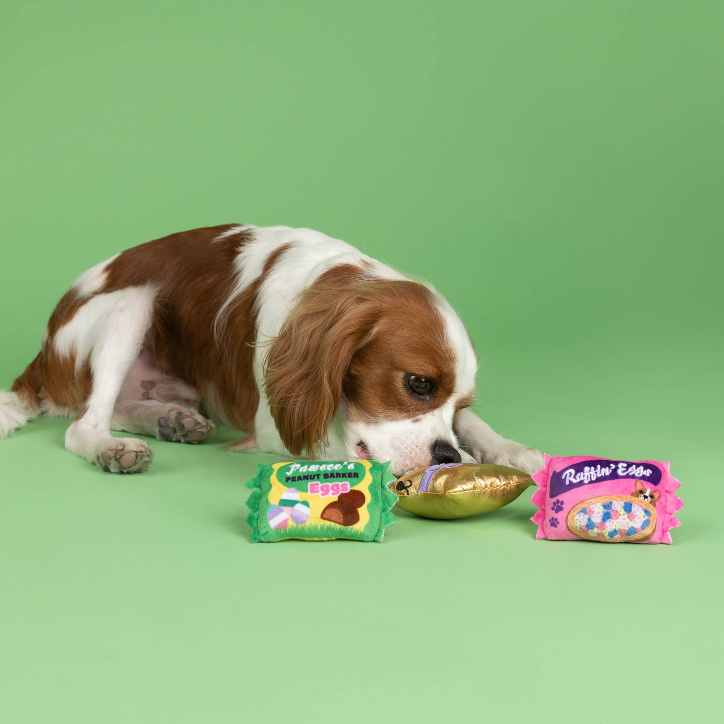 Eggstra Sweets Dog Toy Set