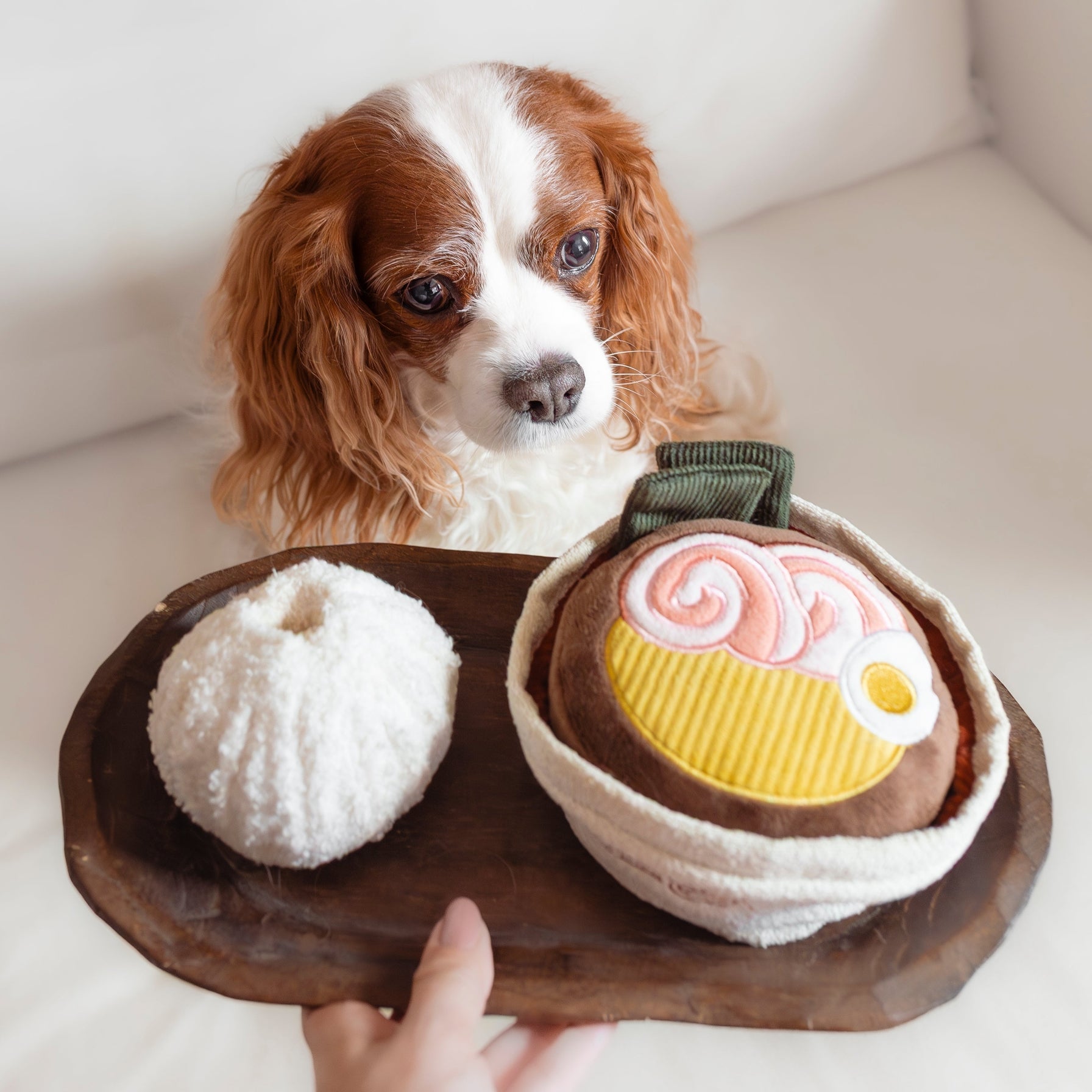 Enrichment Ramen Dog Toy