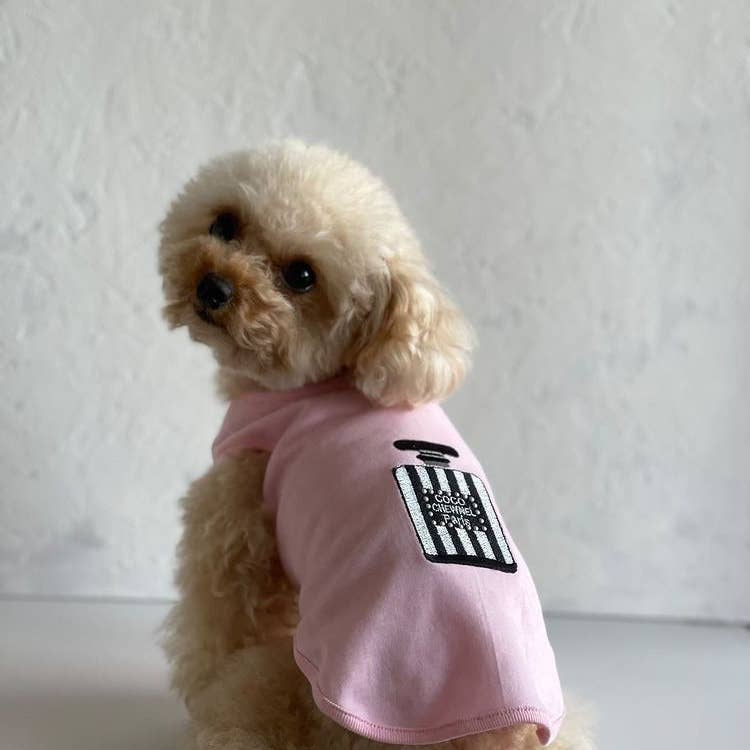 Chewnel Perfume Graphic Dog Tee