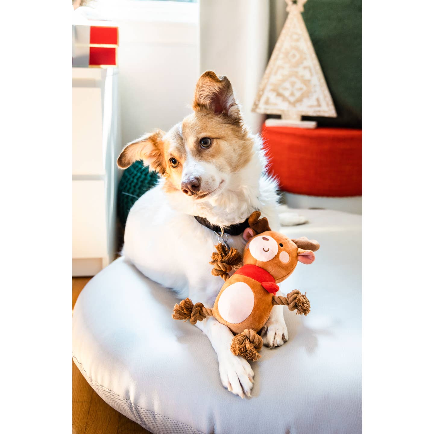 Reindeer Rope Christmas Dog Toy