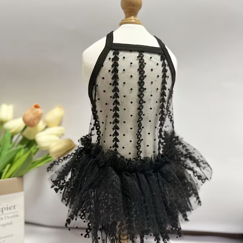 Sheer Black Dog Dress