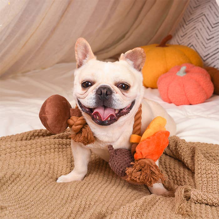 Autumn Acorn Dog Toy