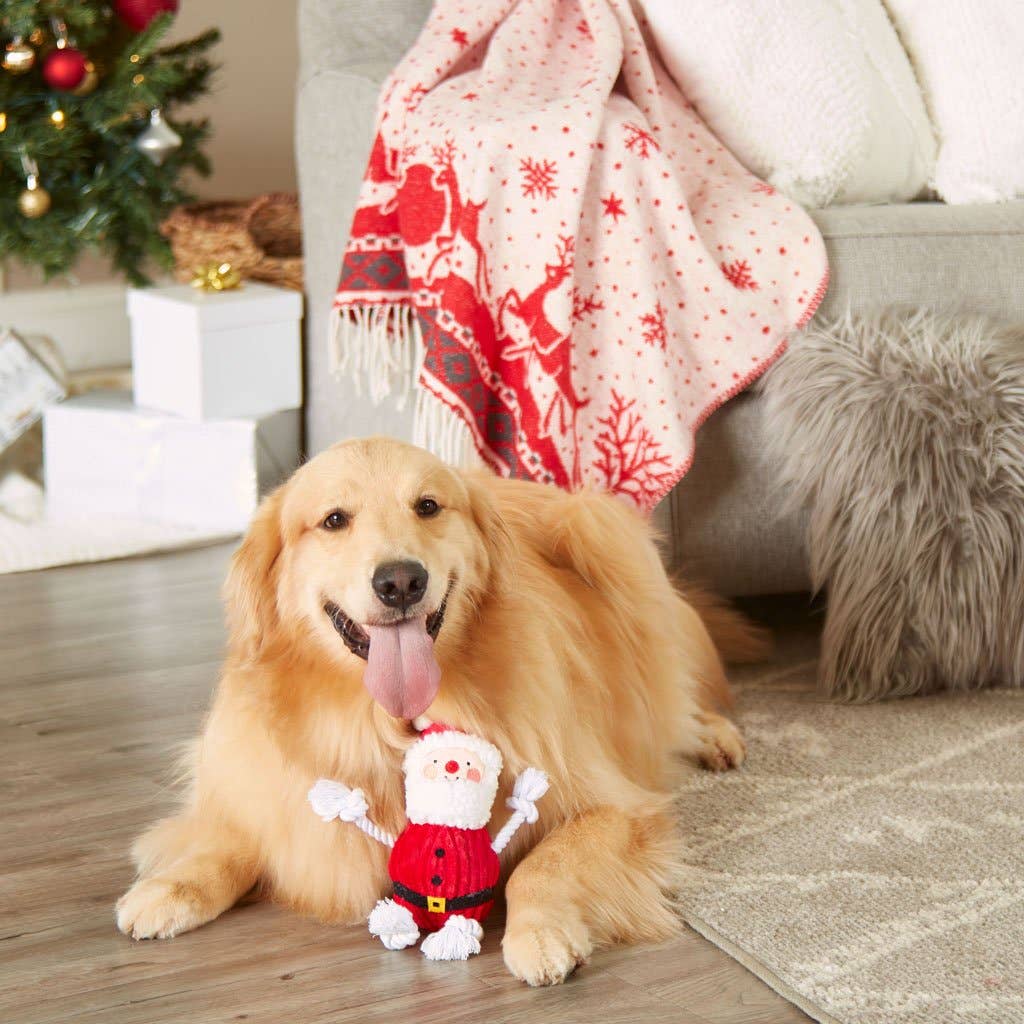 Santa Claus Rope Dog Toy