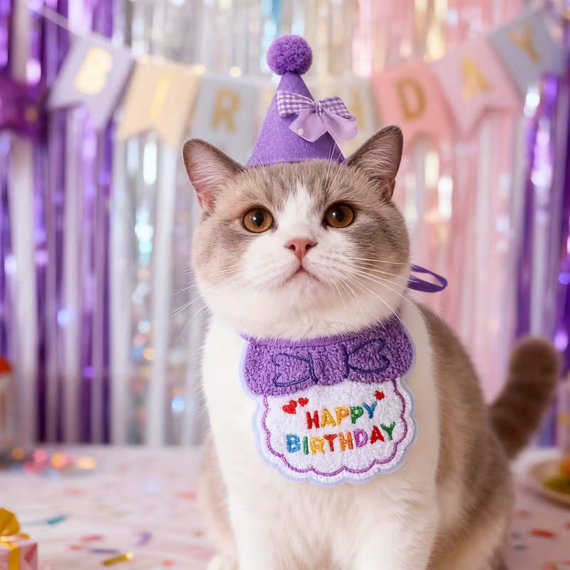 Happy Birthday Dog Hat and Bib