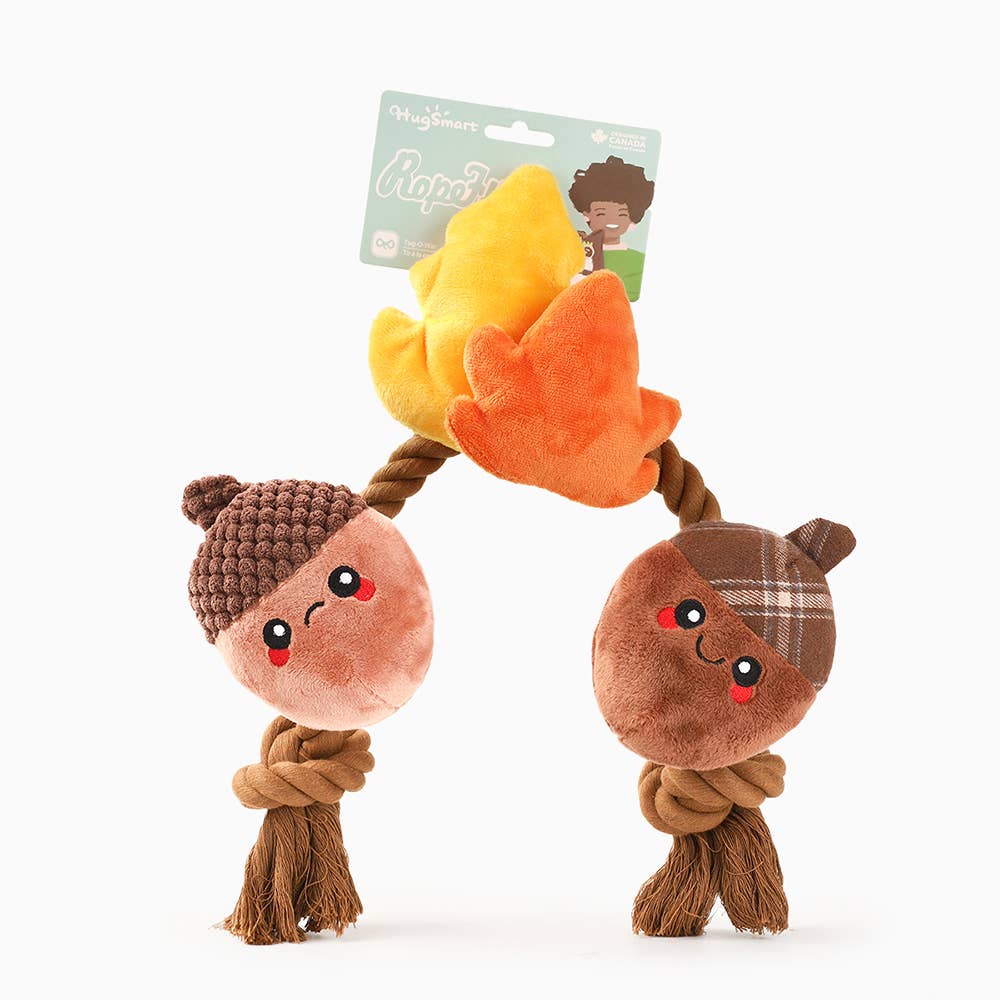 Autumn Acorn Dog Toy