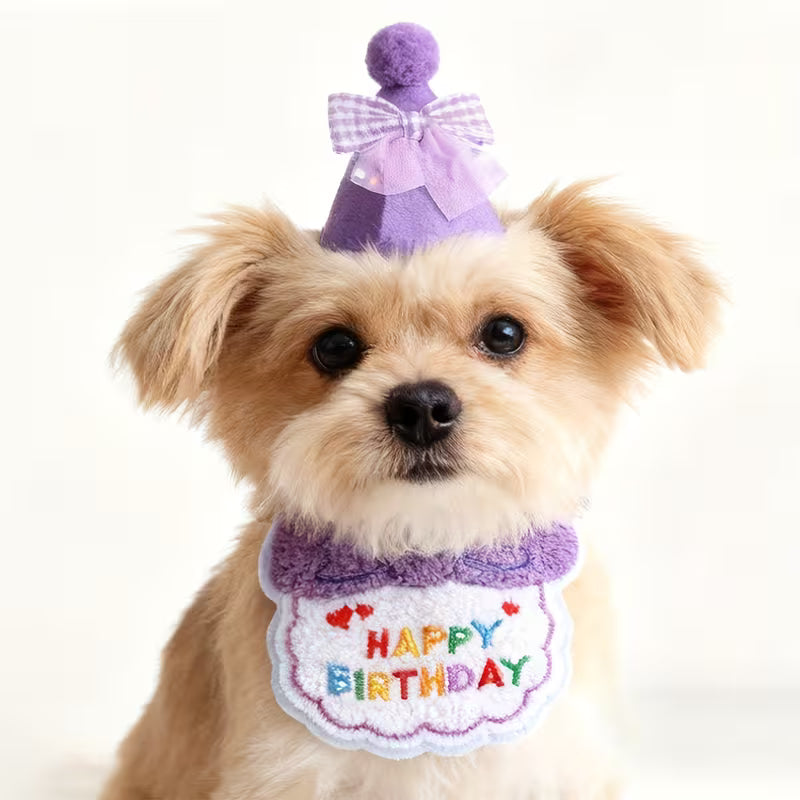 Happy Birthday Dog Hat and Bib