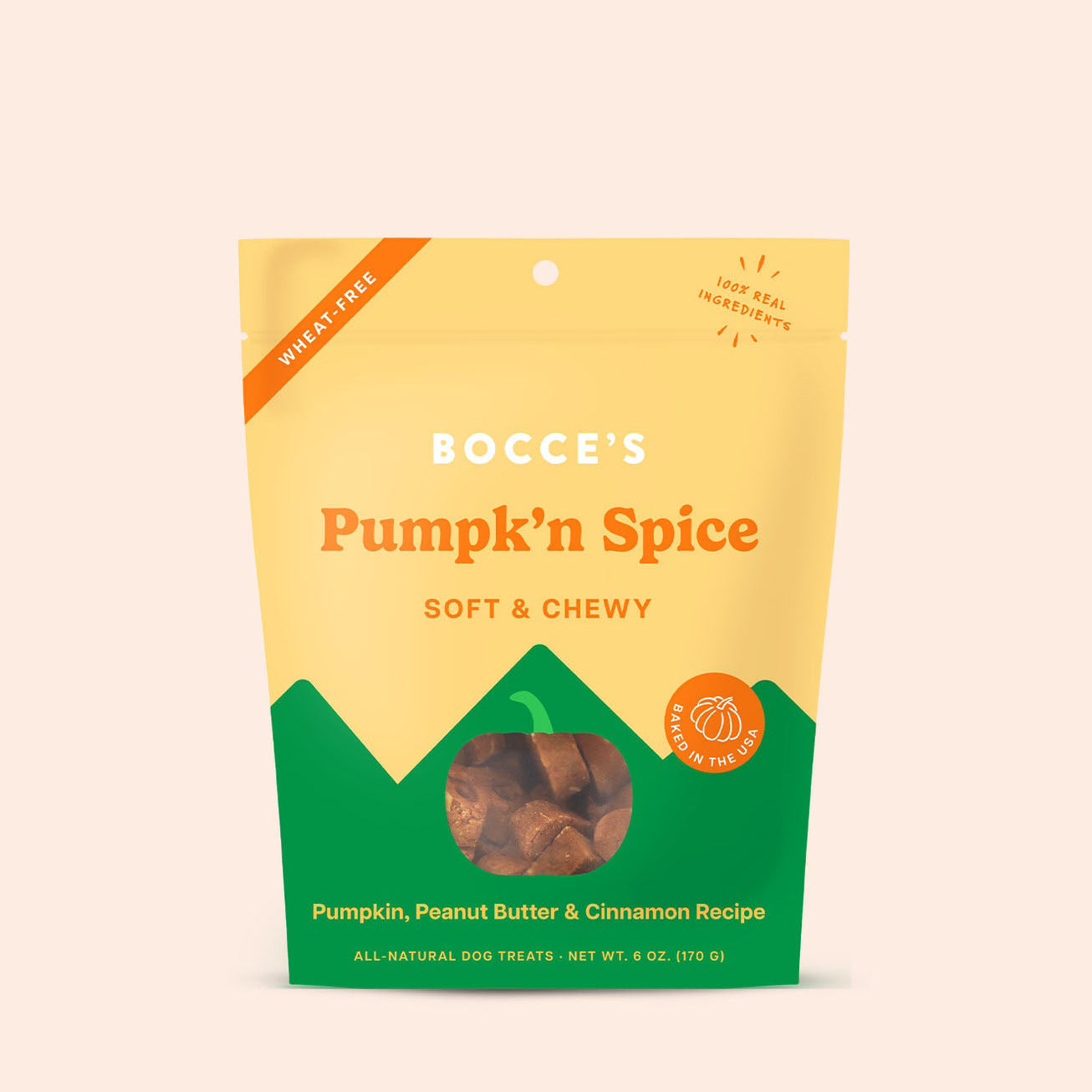 Pumpkin Spice Dog Treat