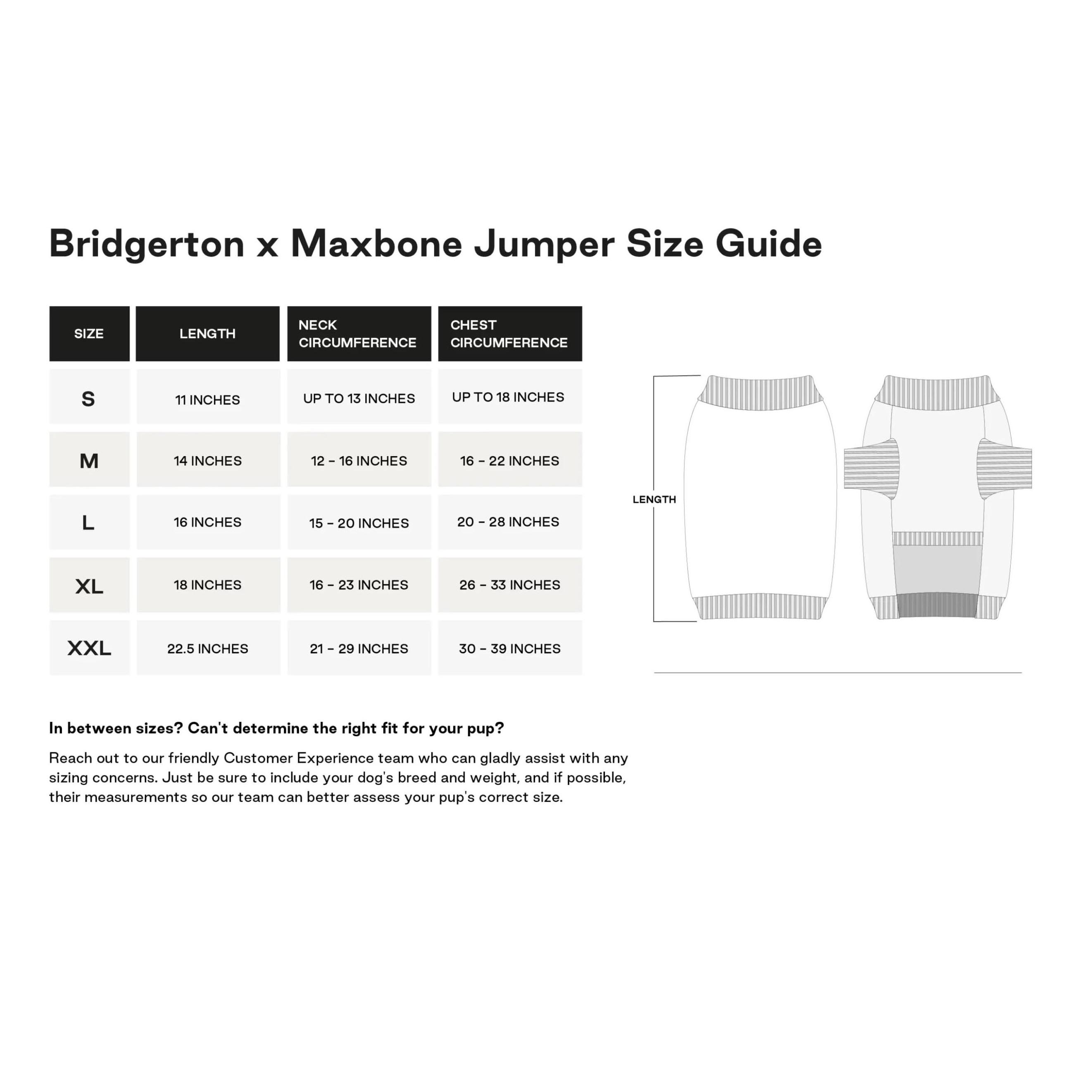 Bridgerton Dog Jumper