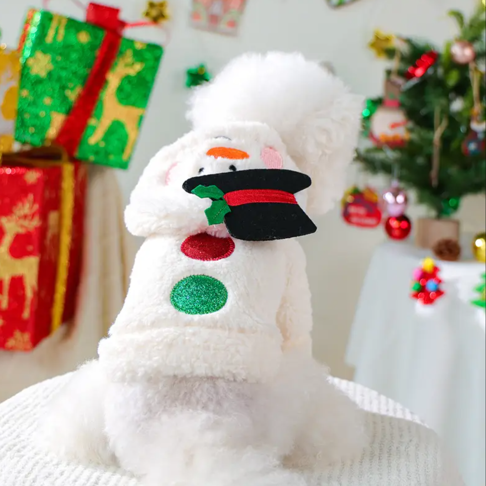 Snowman Dog Hoodie