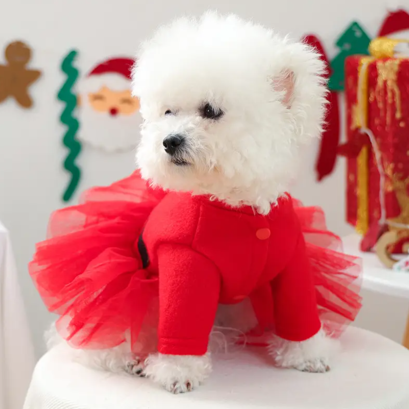 Santa Claus Tutu Dog Dress