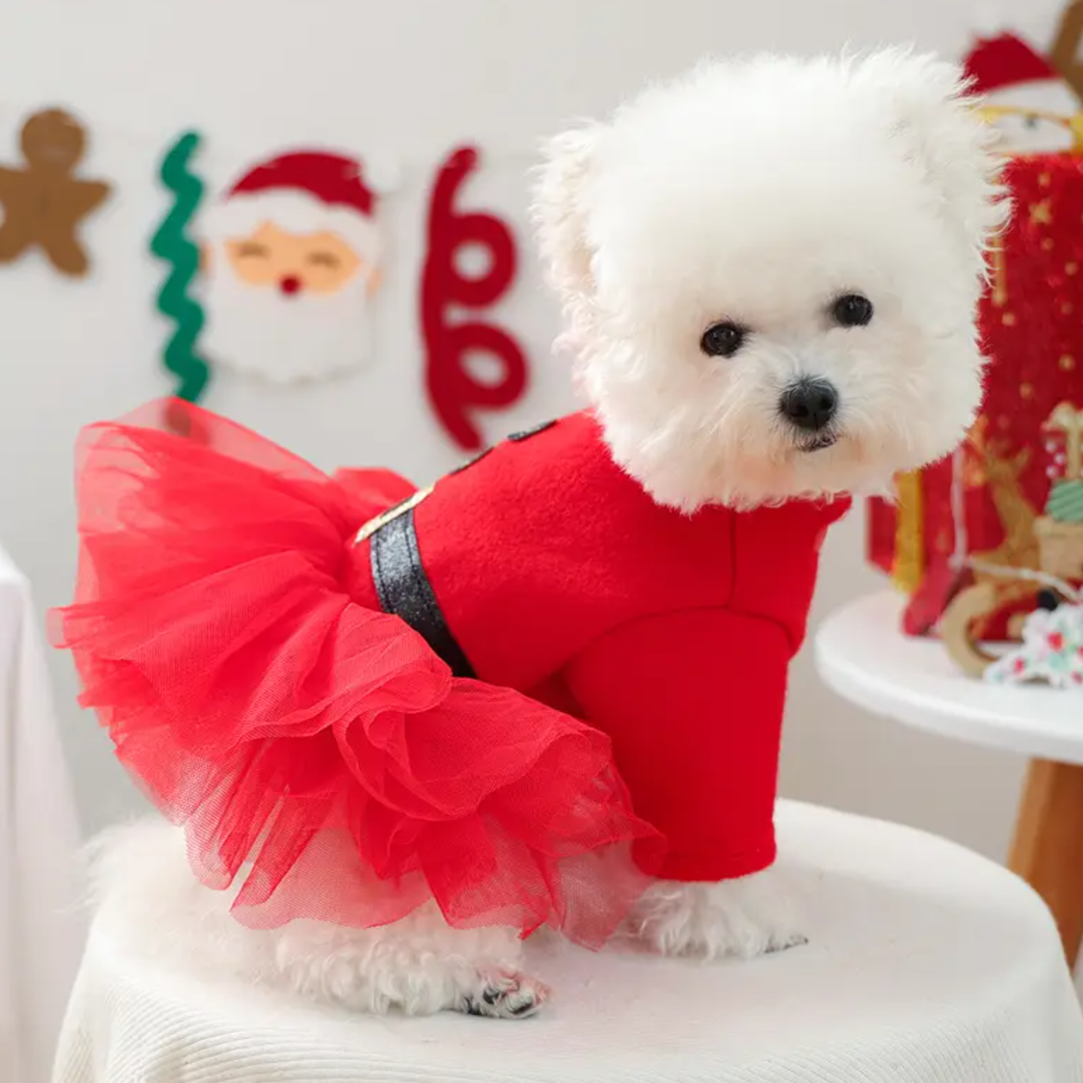 Santa Claus Tutu Dog Dress