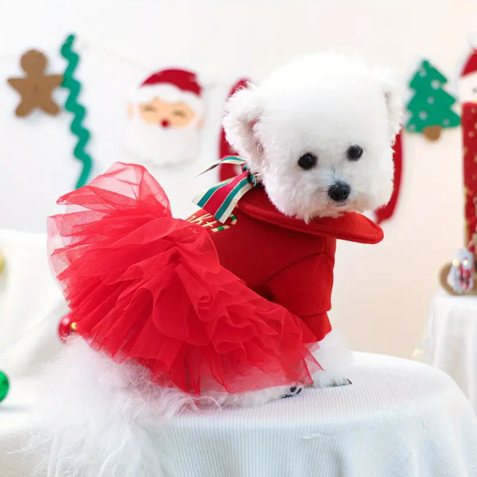 Merry & Bright Tutu Dog Dress