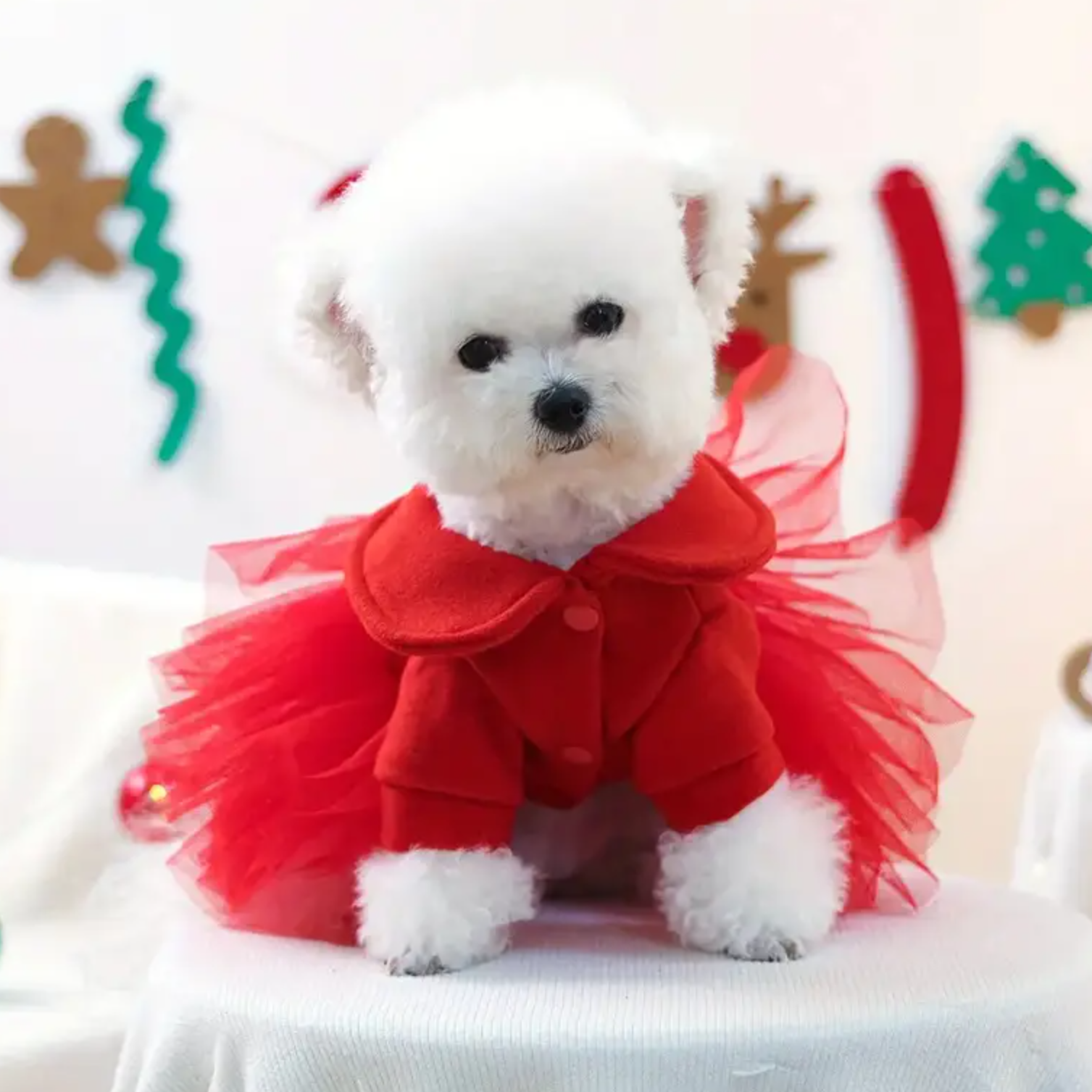 Merry & Bright Tutu Dog Dress