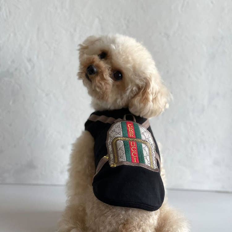 Grrrucci Graphic Backpack Dog Tank