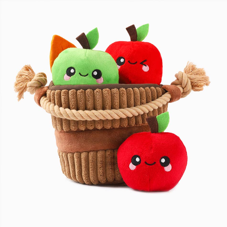 Apple Basket Dog Toy