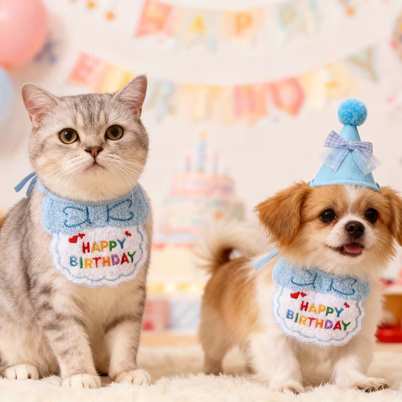 Happy Birthday Dog Hat and Bib