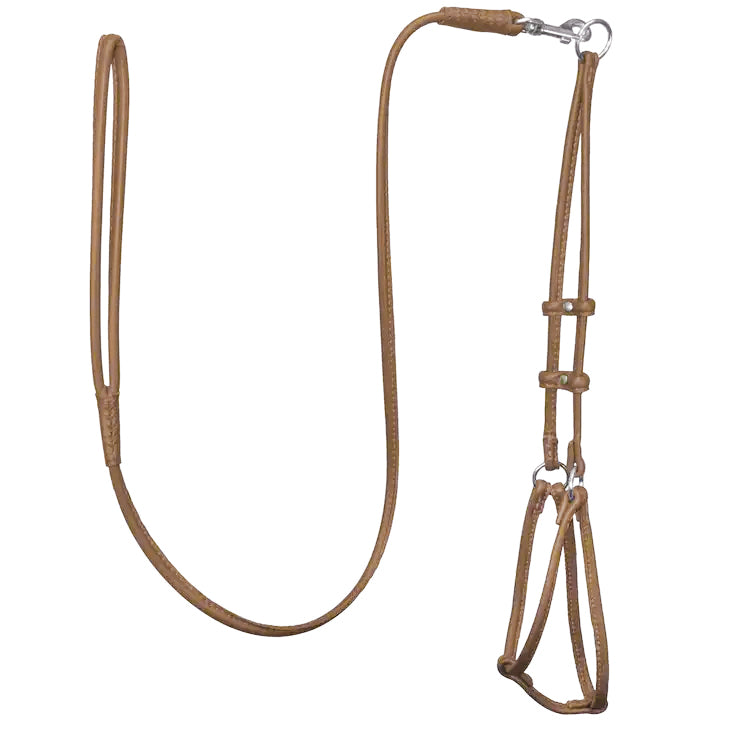 Soft Leather Harness Leash - Main Image