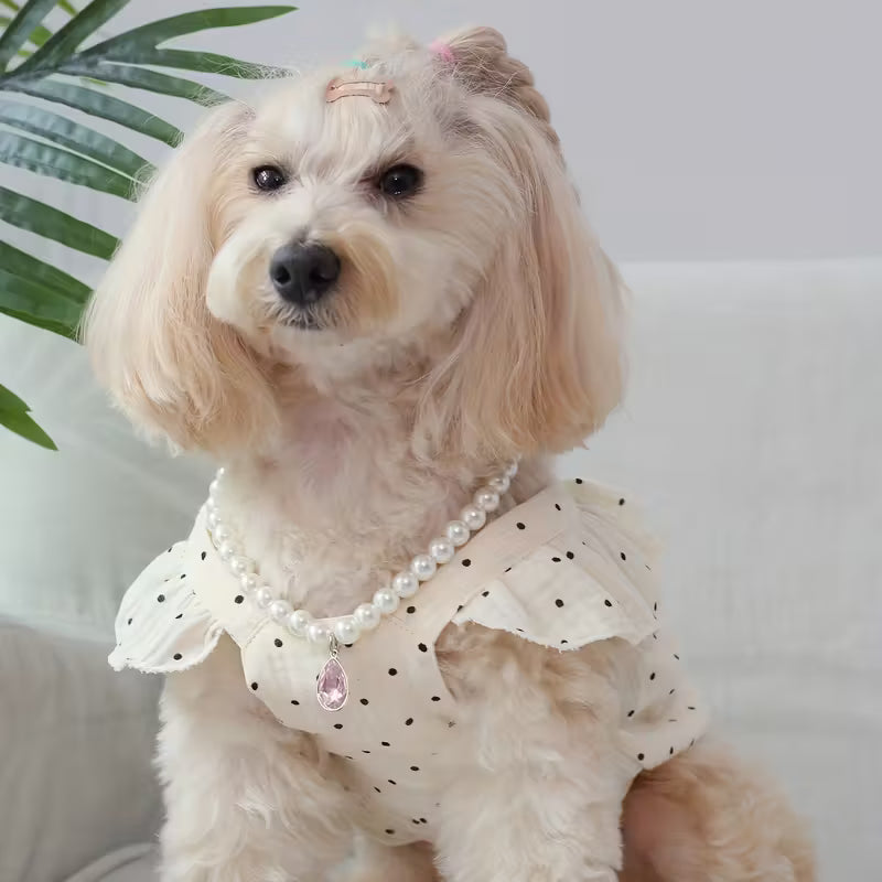 Polka Dot Dog Blouse