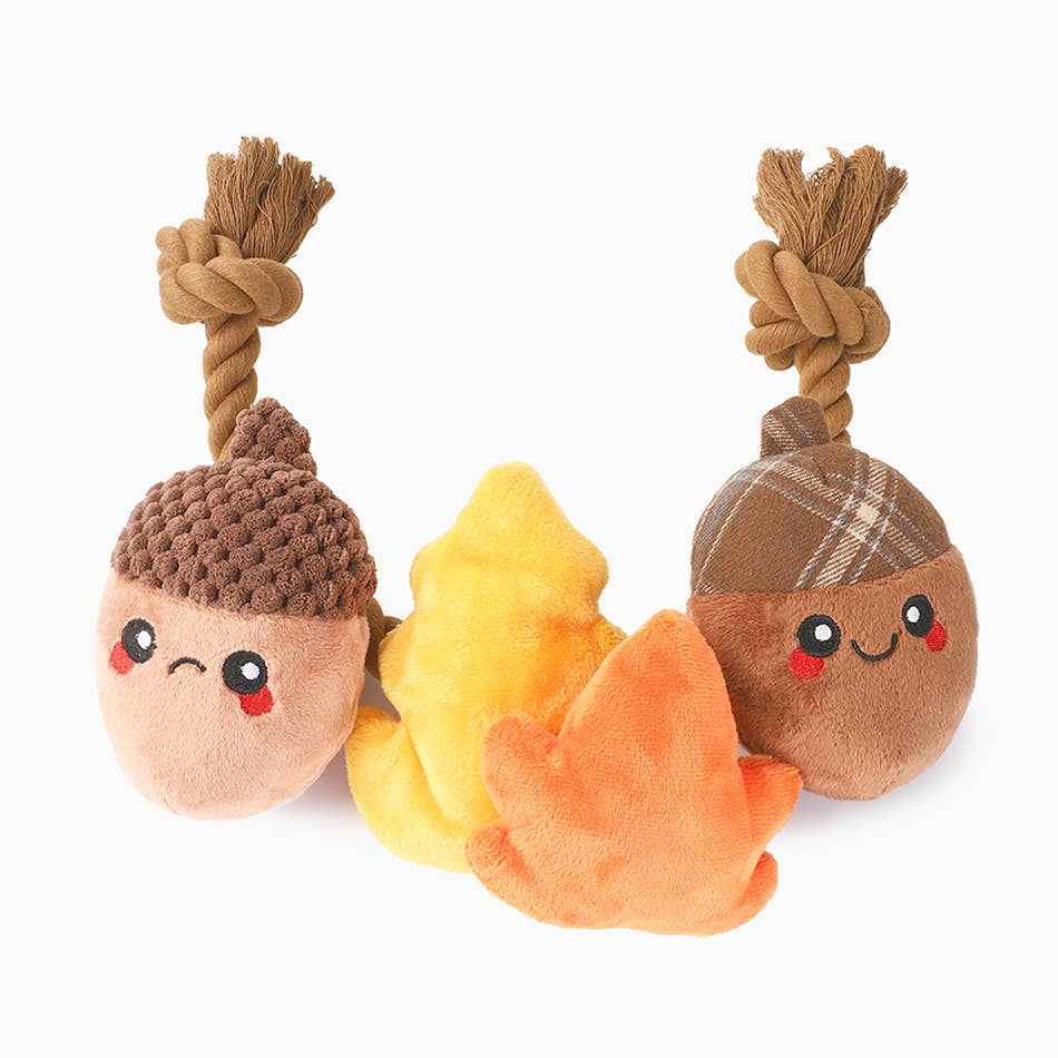 Autumn Acorn Dog Toy