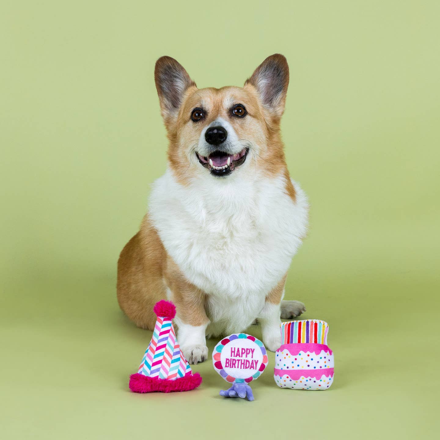 Happy Bark Day Dog Toy Set