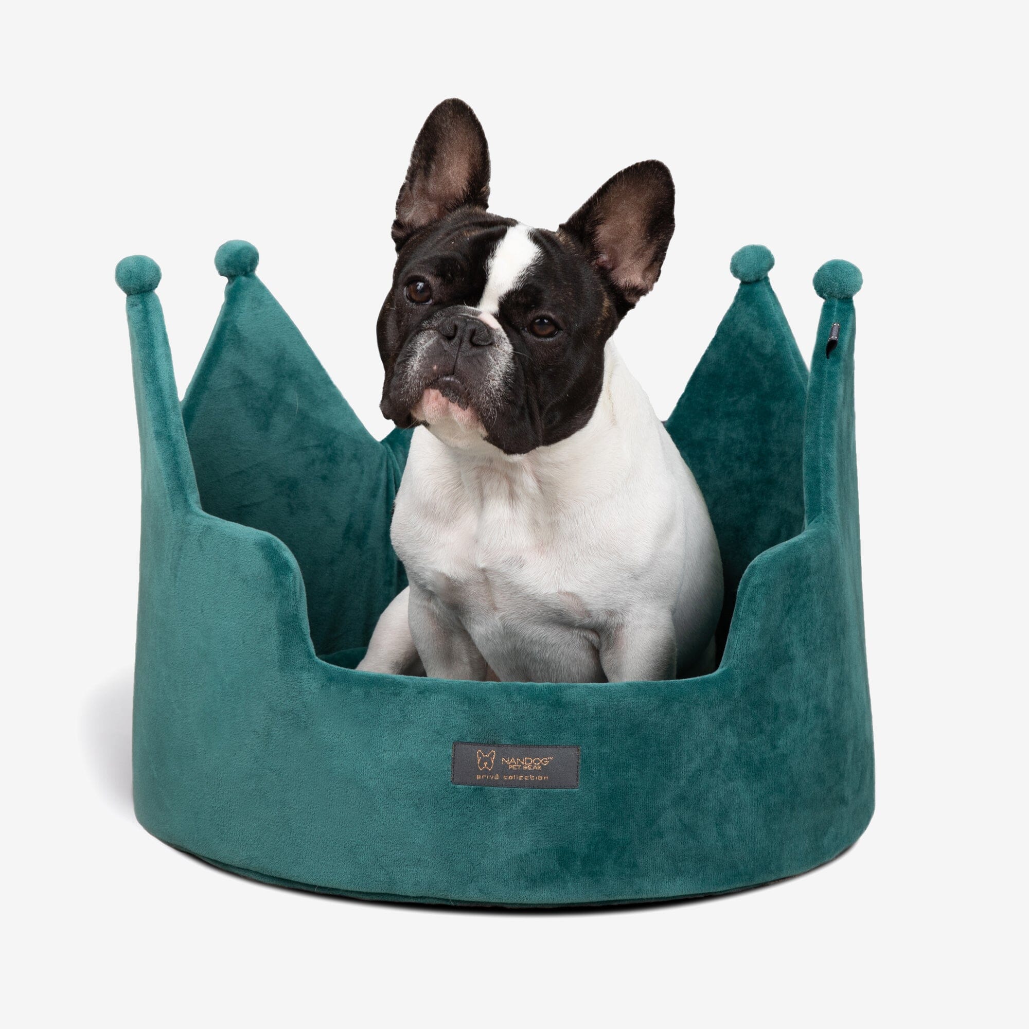 Royal Crown Dog Bed