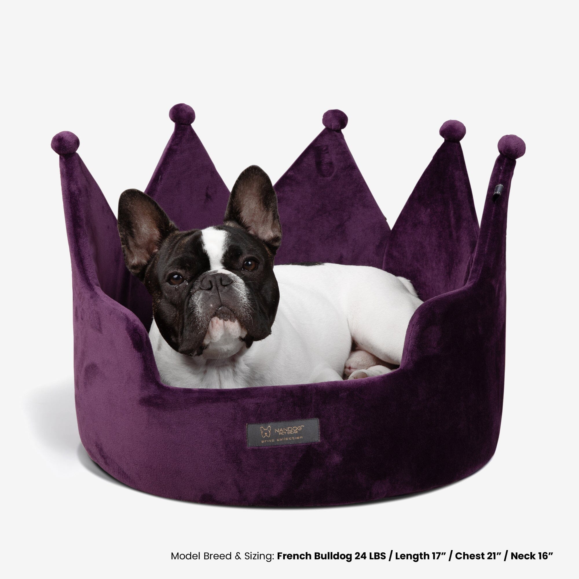 Royal Crown Dog Bed