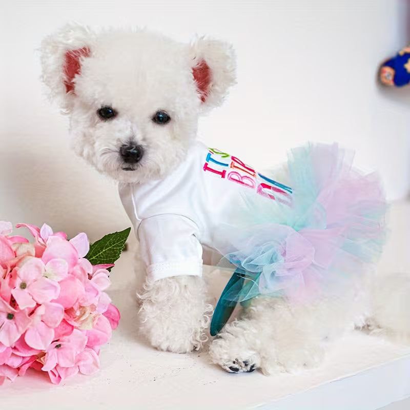 Happy Birthday Tutu Dog Dress