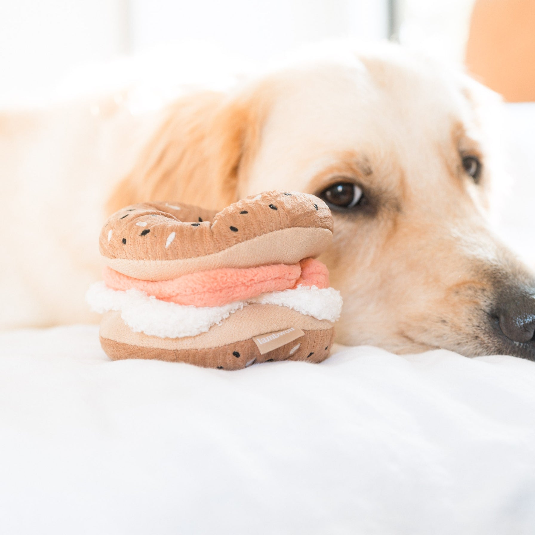 Enrichment Pickle and Bagel Dog Toy